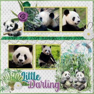 Pandas.jpg
