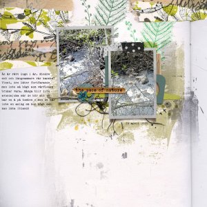 The Pace Of Nature