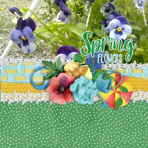 pansies.jpg