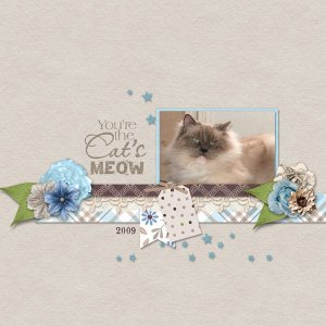 You're the Cat's Meow