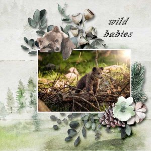 wild-babies-reginafalango.jpg