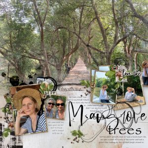 Mangroves left