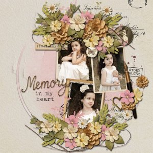 Memory In My Heart
