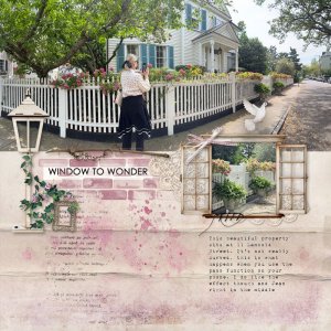 Window To Wonder.jpg