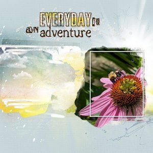 An Adventure