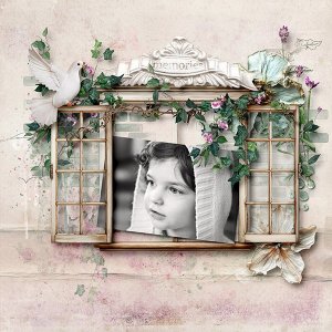 Through The Window