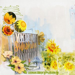Monthly-#6-colab-sunny.jpg