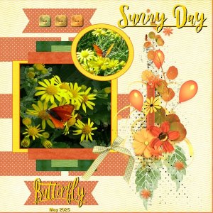 6 - May  2025 Challenge 6 - Collaborations -Sunny Day.jpg