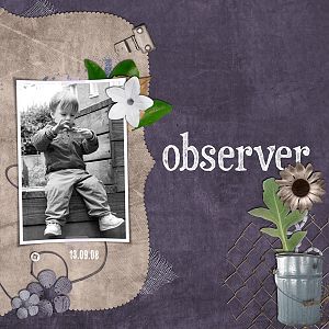 Observer