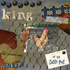 King of the Chicken House