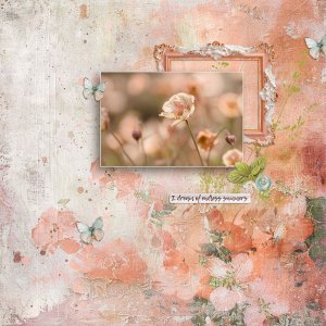 May Challenge: The Meaning of Flowers