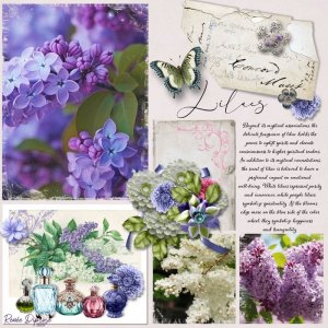 Lilacs