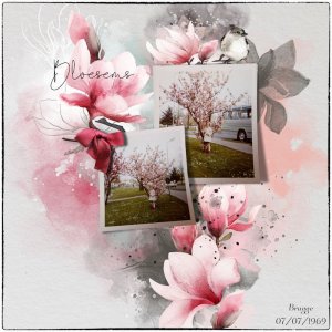 Bloesems