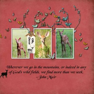 Oh, Deer