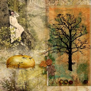 Woodland Walks