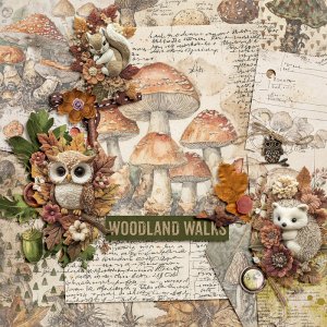 Woodland walks