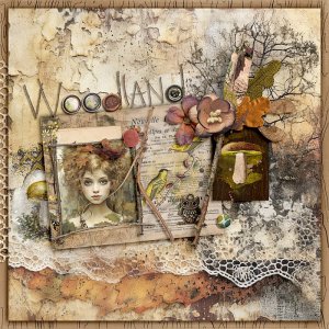 Woodland Walks