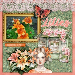 Lilies.jpg