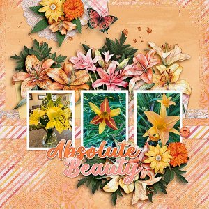 My-Lilies.jpg