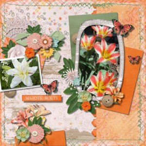 Lilies