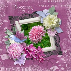 Blossoms