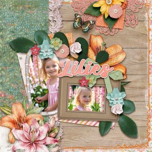 Lilies