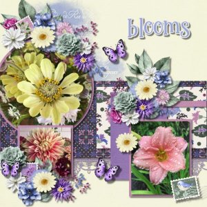 Flowers Galore