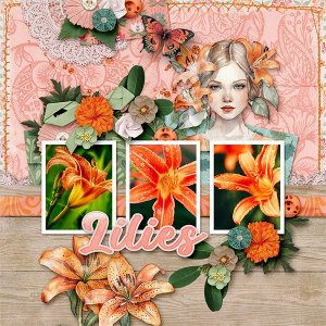 Lilies