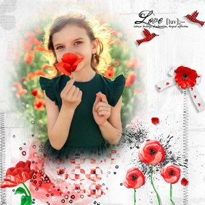 poppy-love-NLD.jpg