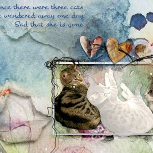 ATC-CHALLENGE---MAY-2025_LOST-KITTY
