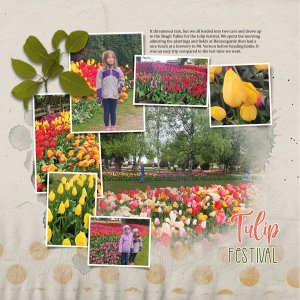 Tulips 2