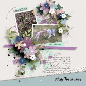 May Purple Treasures