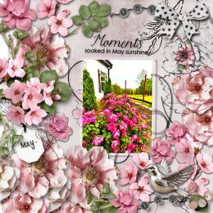 May Blossoms