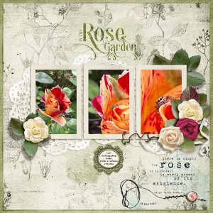 The Rose Garden