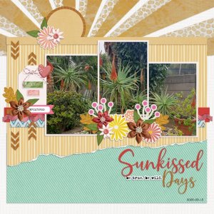 2025-05-15_SunkissedDays