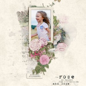 Rose