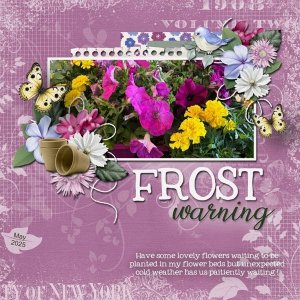 Frost Warning