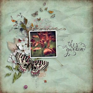Freebie Challenge May 2025