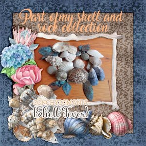 600-adbdesigns-victorian-collecting-seaside-pia-02.jpg