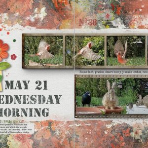 Wednesday Morning