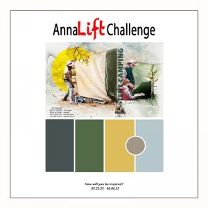 AnnaLift Challenge Gallery.jpg