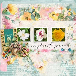 a place to grow