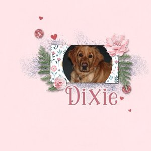 Dixie
