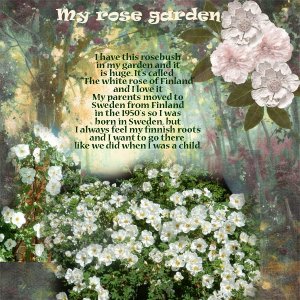 My-rose-garden.jpg