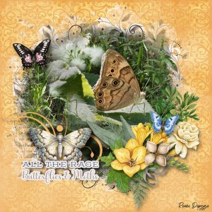 Butterflies and Moths