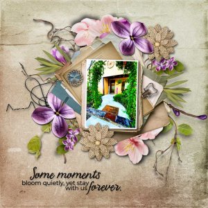 Moments in Bloom