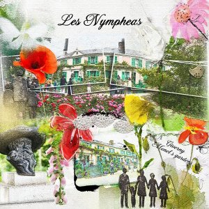 Les Nympheas