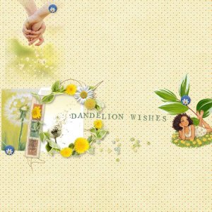 Dandeliion-Wishes.jpg