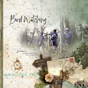Bird Watching