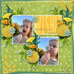 Dandelion Wishes